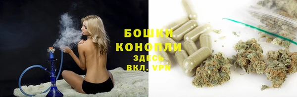 индика Балабаново