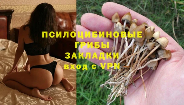 герыч Белокуриха