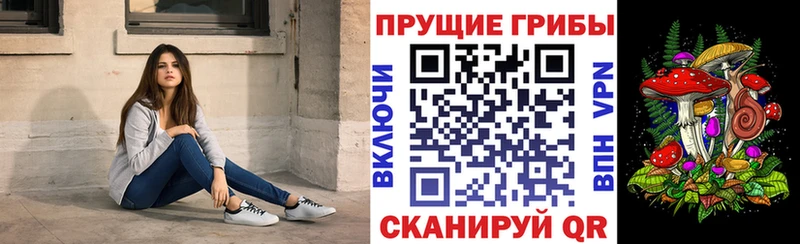 гидра ТОР  Юрьев-Польский  Галлюциногенные грибы Psilocybine cubensis 